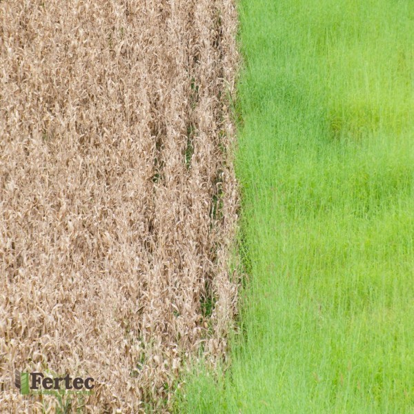 Cómo las Riadas Afectan a la Agricultura en Huesca