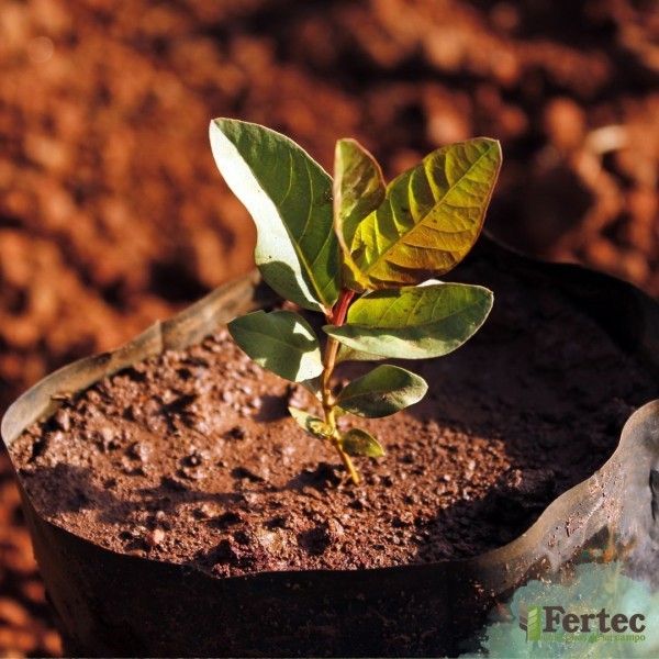 La agricultura ante el cambio climático: Adaptarse o desaparecer